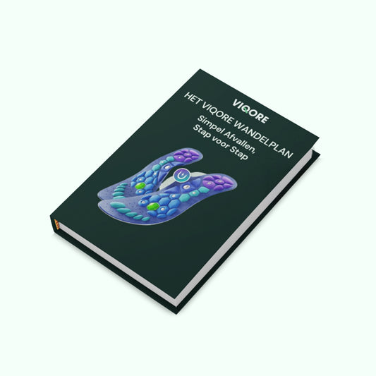 E-Book: Wandelplan met Magnetische Inlegzolen van Viqore™