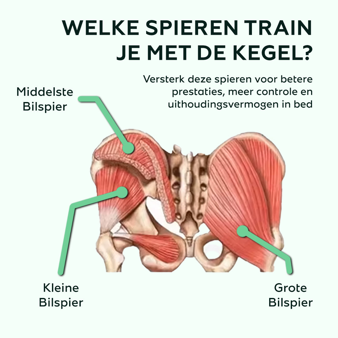 Kegeltrainer – Meer controle over je blaas - Viqore™